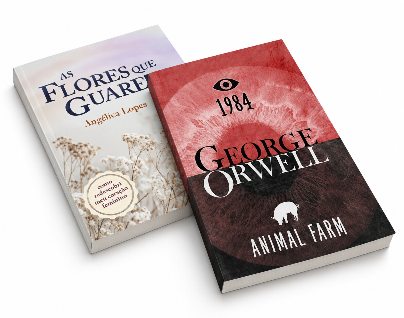 dois livros