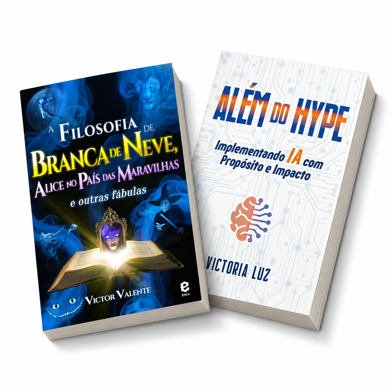 2 capas de livro