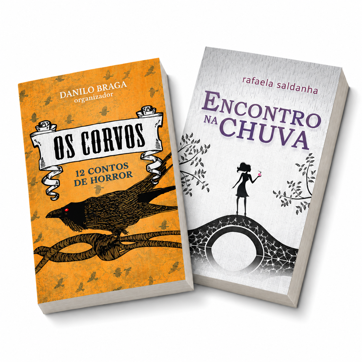 2 capas de livro