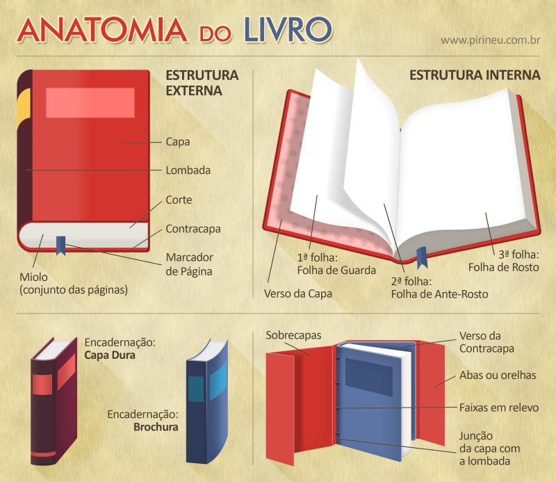 anatomia do livro infografico